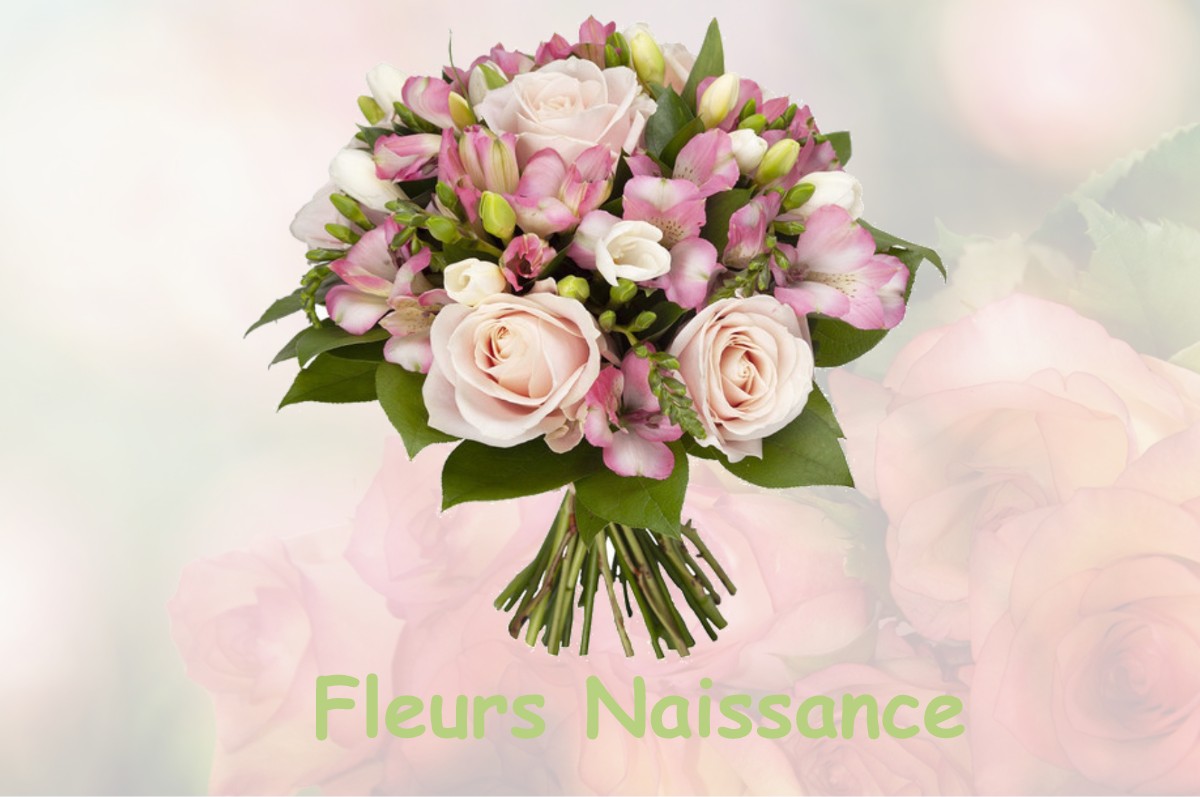 fleurs naissance CLAIREFONTAINE-EN-YVELINES
