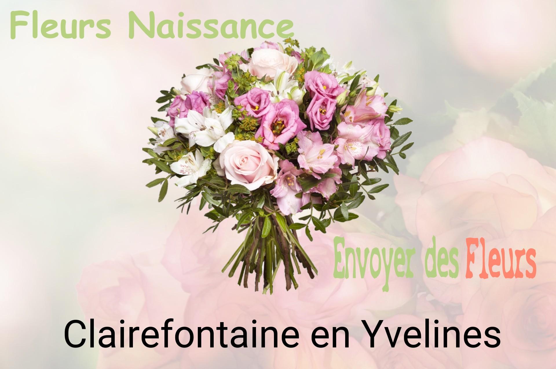 Bouquet de fleurs de naissance livré à Clairefontaine-en-Yvelines